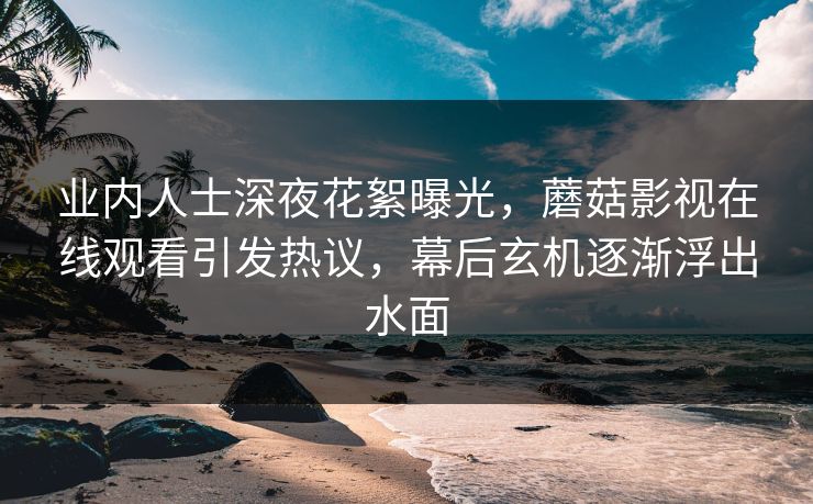 业内人士深夜花絮曝光，蘑菇影视在线观看引发热议，幕后玄机逐渐浮出水面