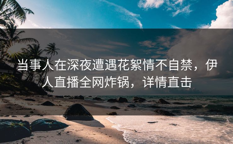 当事人在深夜遭遇花絮情不自禁，伊人直播全网炸锅，详情直击